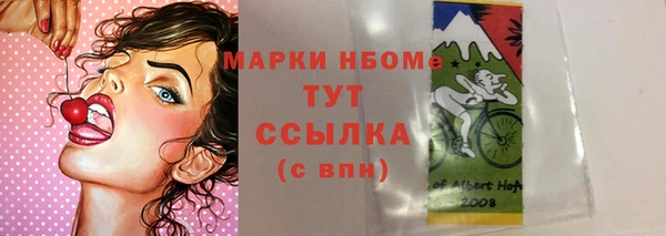 гашик Богородицк