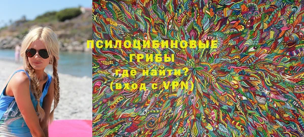 mdpv Богданович