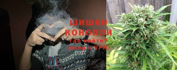 индика Белокуриха